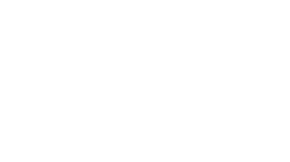 Plaza Properties